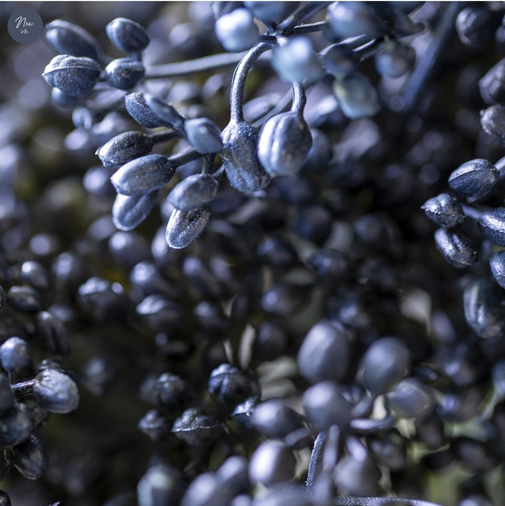Blue berries stem